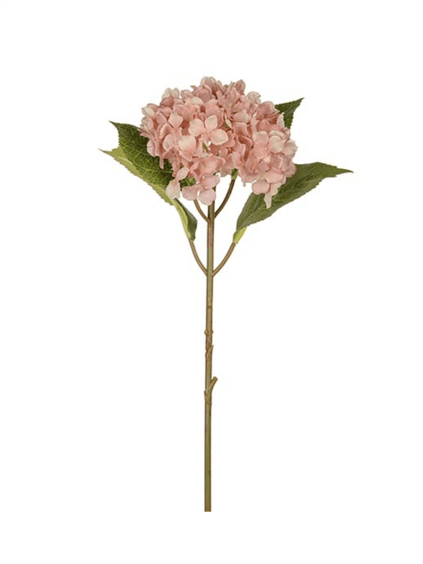 Blomst - Hortensia 40cm Rosa - at home