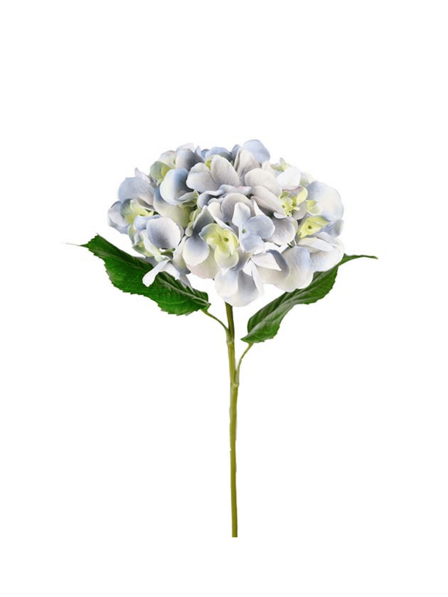Blomst - Hortensia 55cm Blå - at home