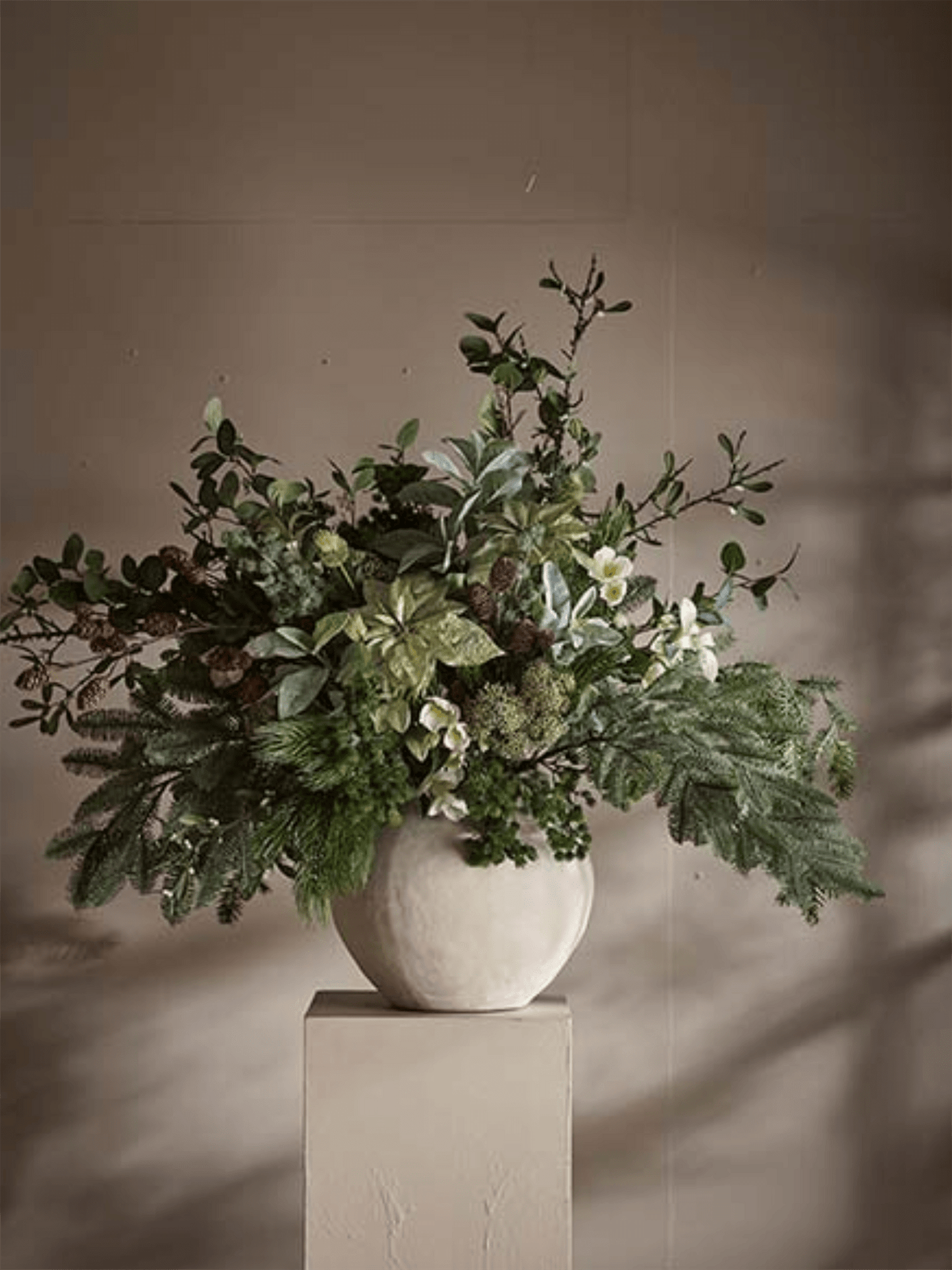 Blomst - Julerose H57cm Hvit - at home