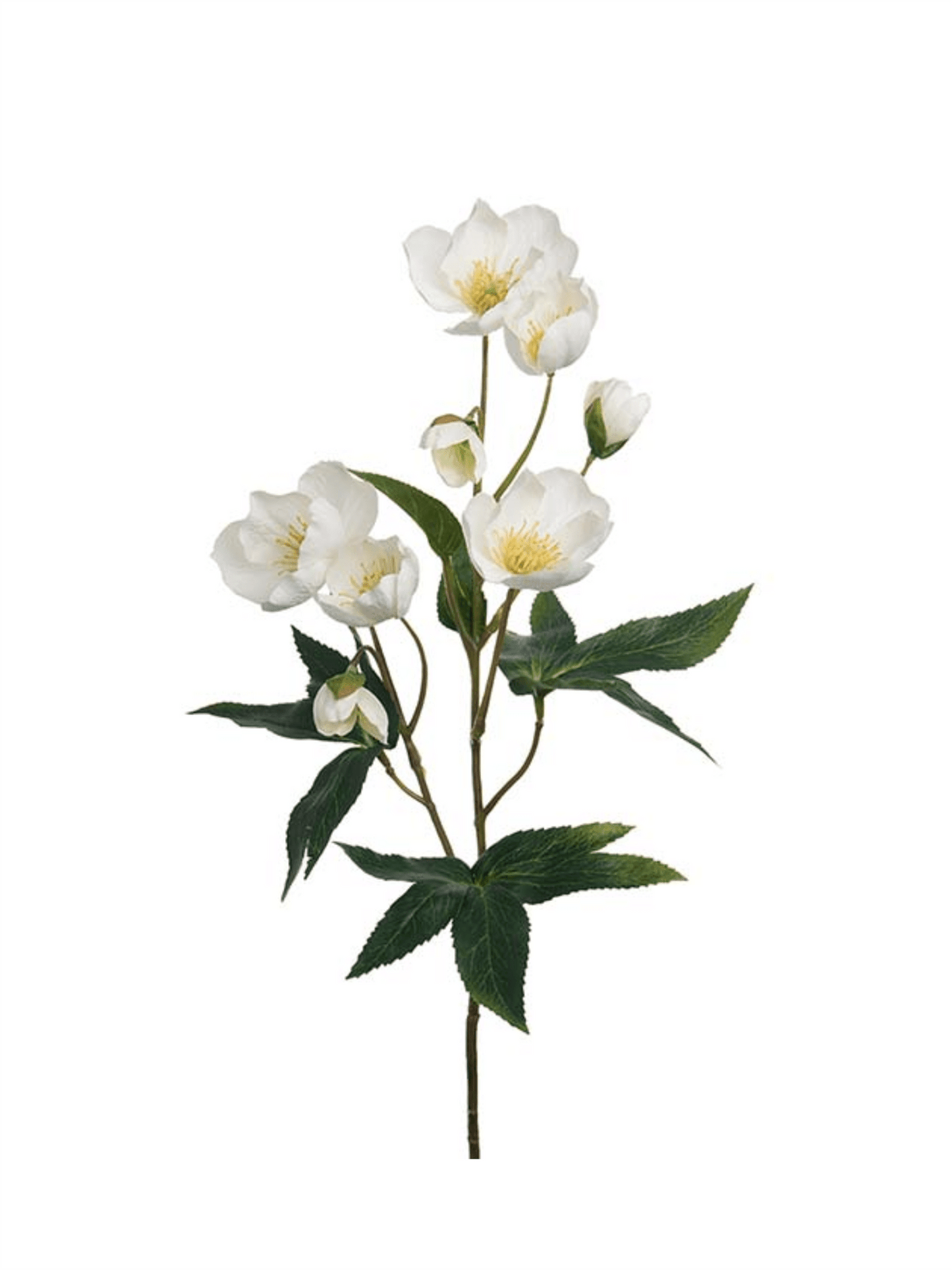 Blomst - Julerose H57cm Hvit - at home