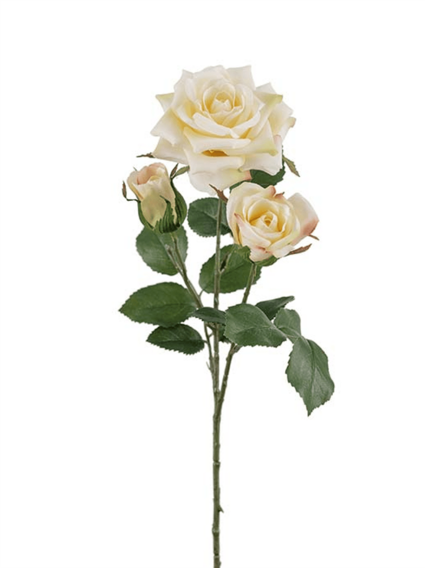 Blomst - Rose H55cm Gul - at home