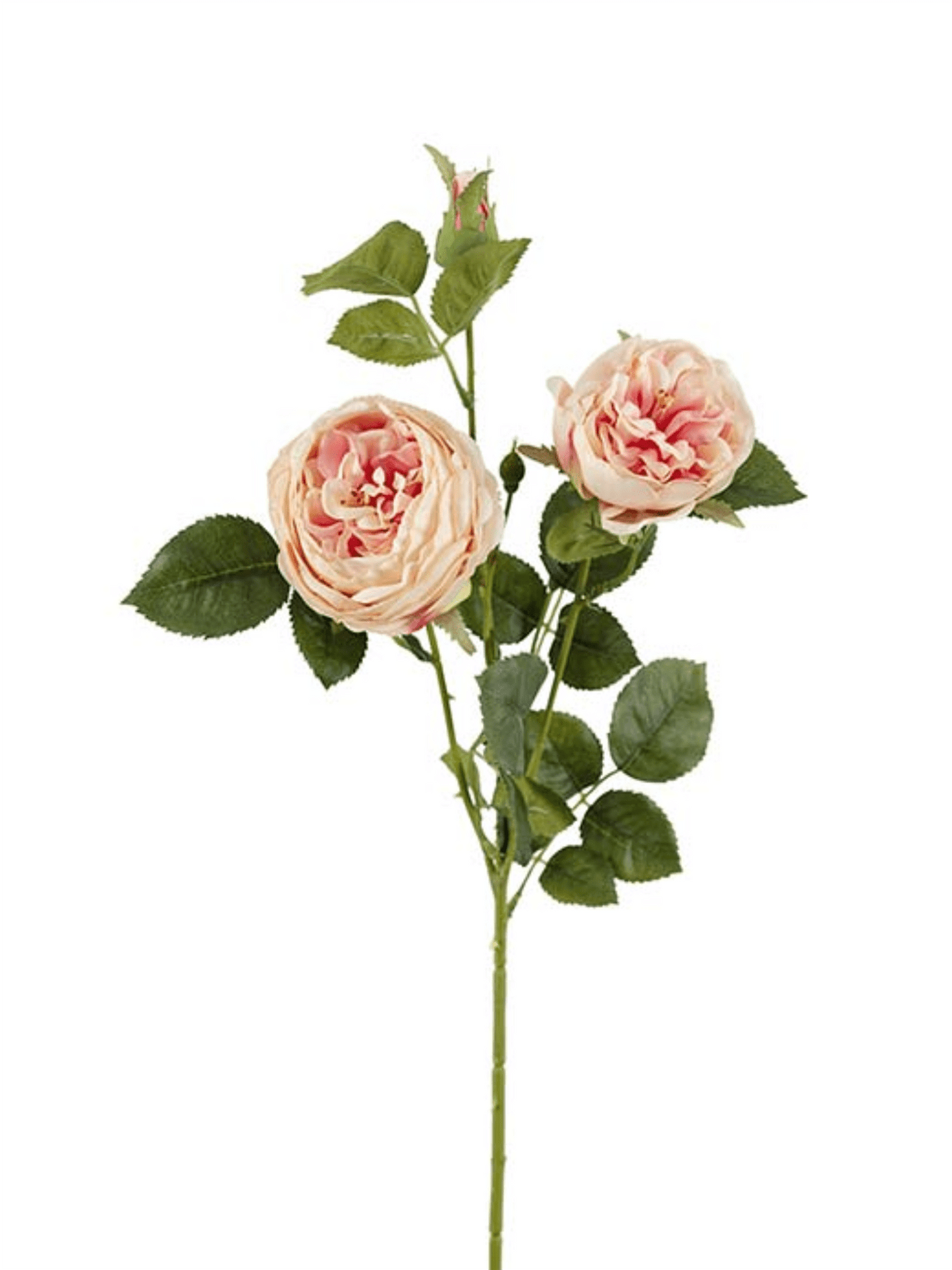 Blomst - Rose H60cm Lyserosa - at home