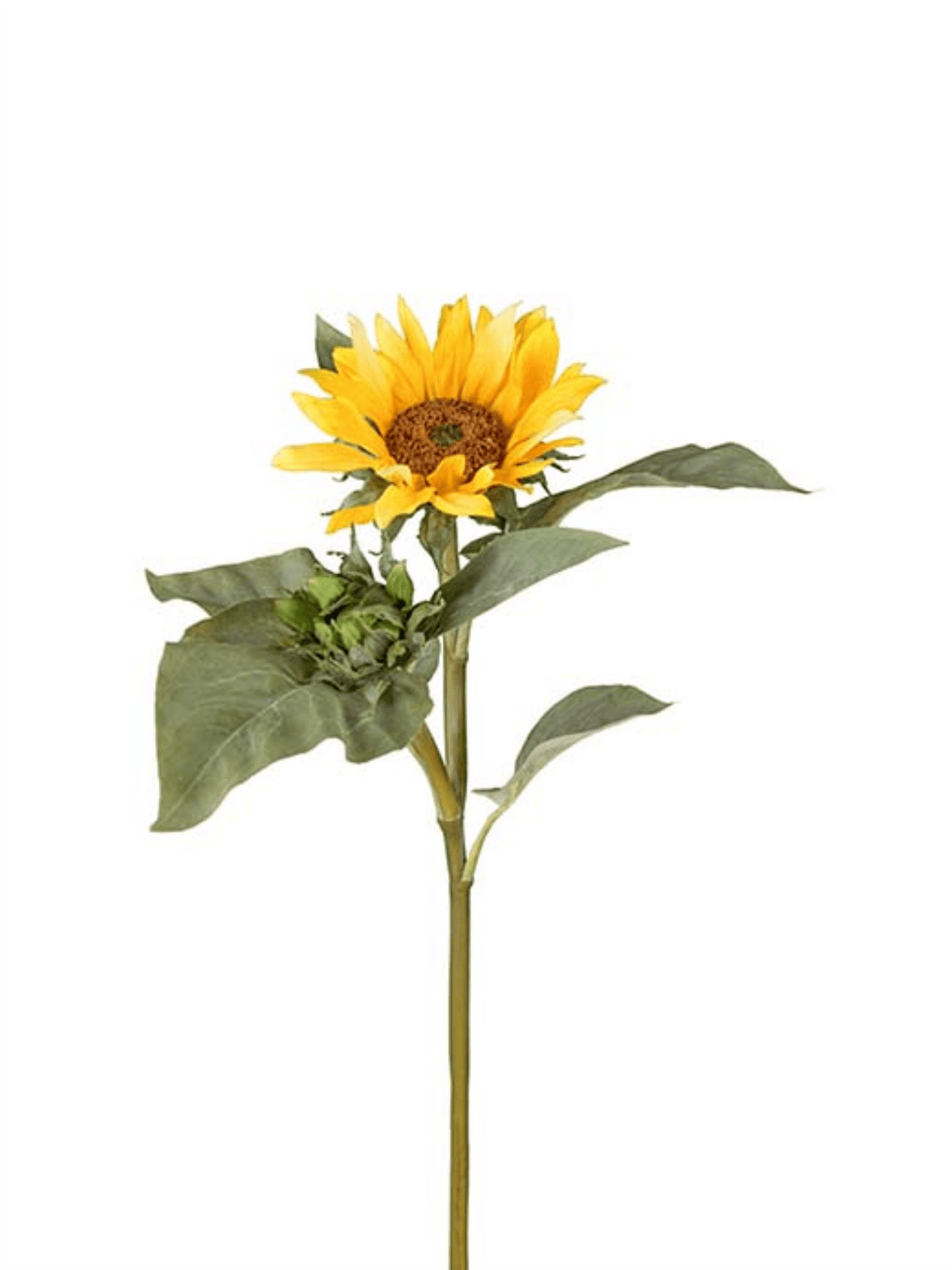 Blomst - Solsikke H70cm Gul - at home