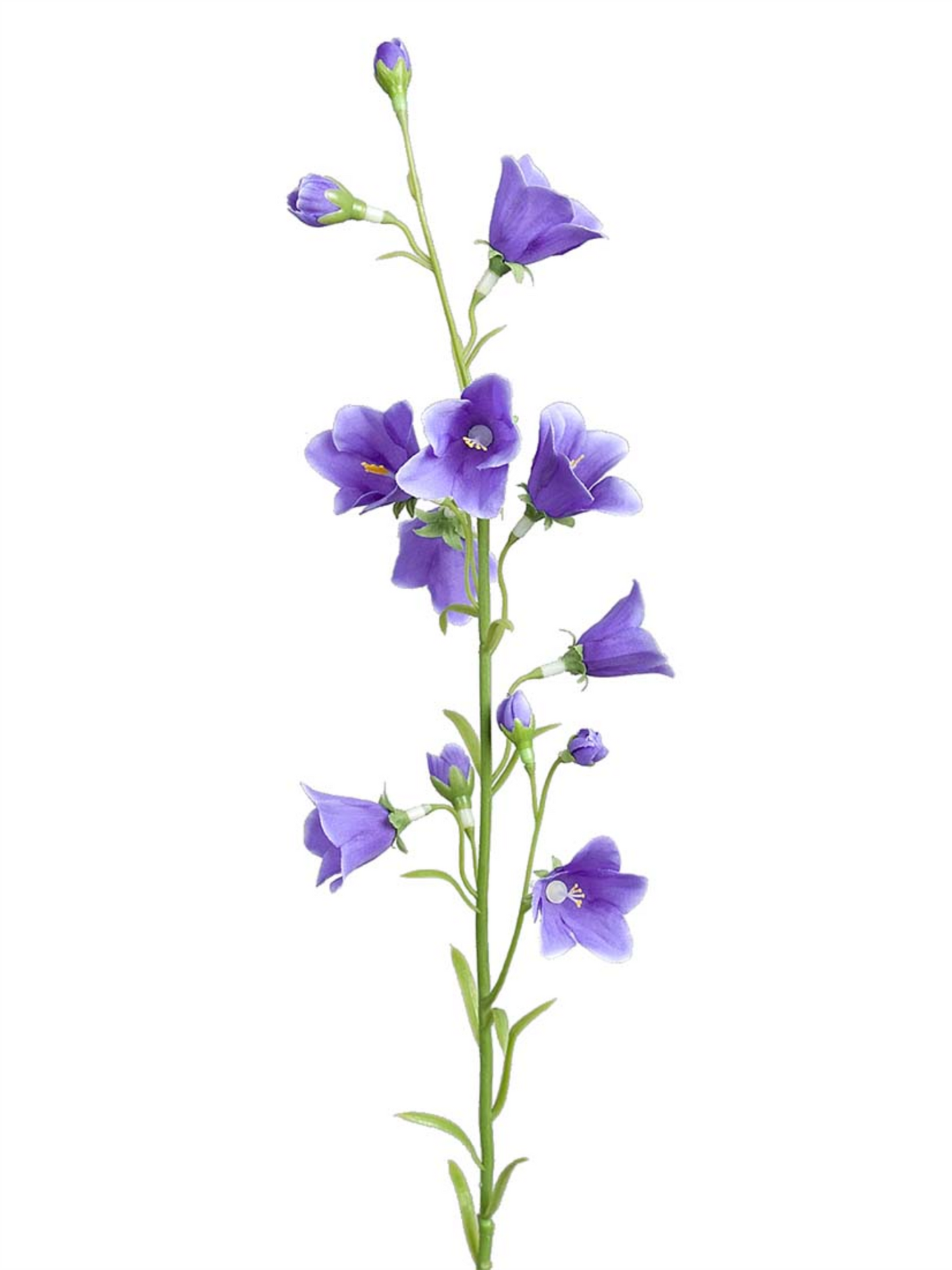 Blomst - Blåklokke H65cm