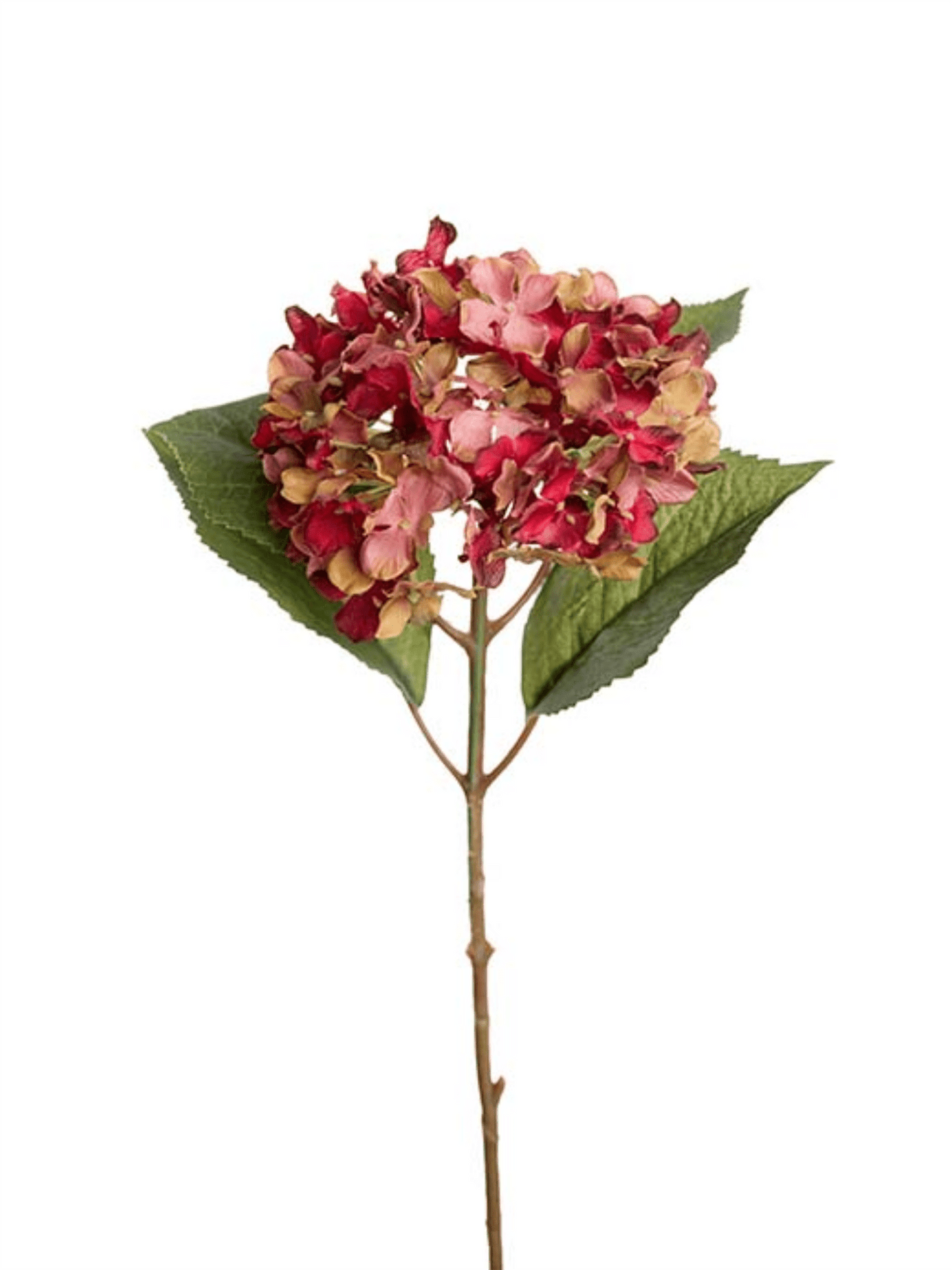 Hortensia 40cm - Rød - at home