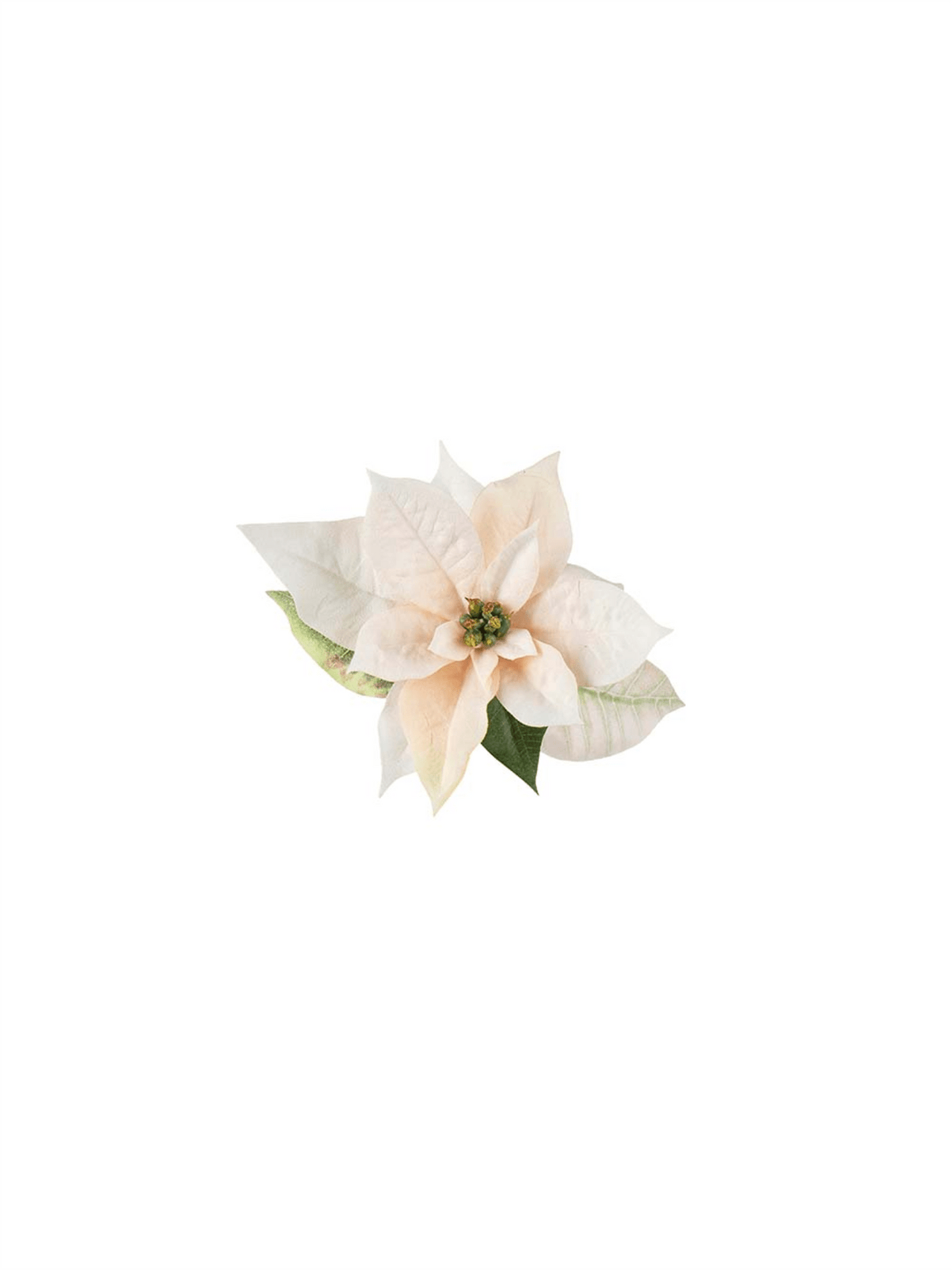 Plante - Julestjerne Med Klype Hvit 6cm - at home