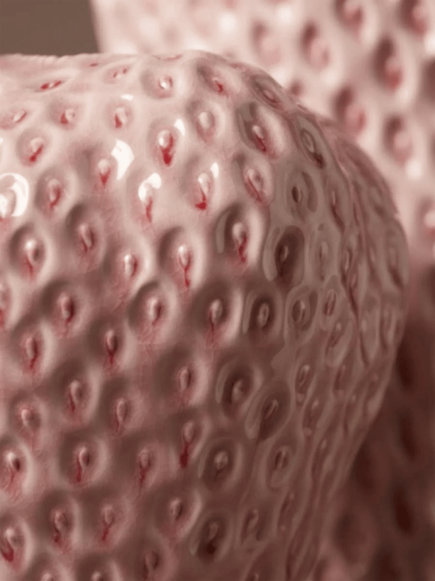 Vase - Jordbær Lyserosa 21x20cm - at home