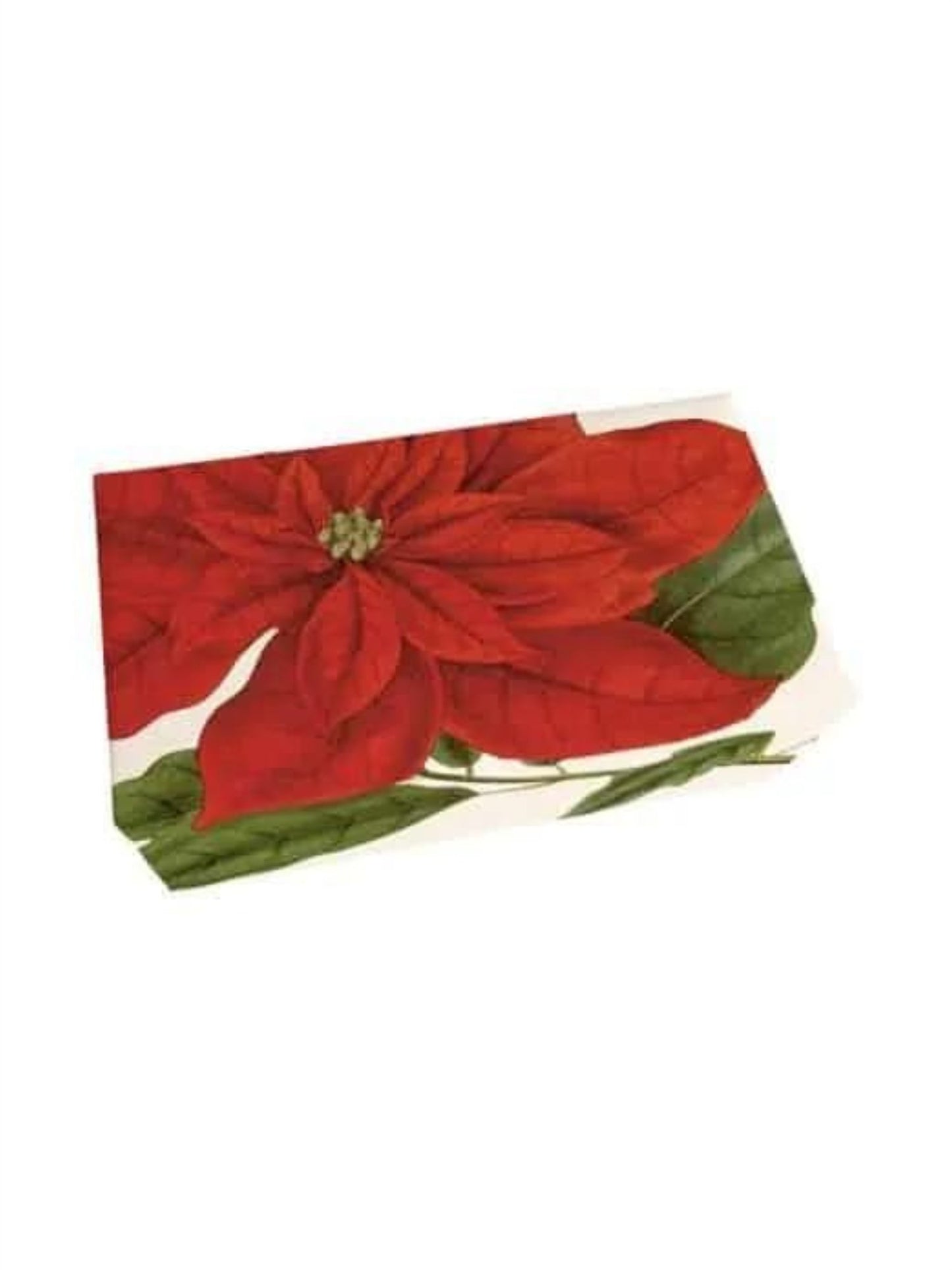 Håndsåpe Julestjerne - Eple & Kanel - at home