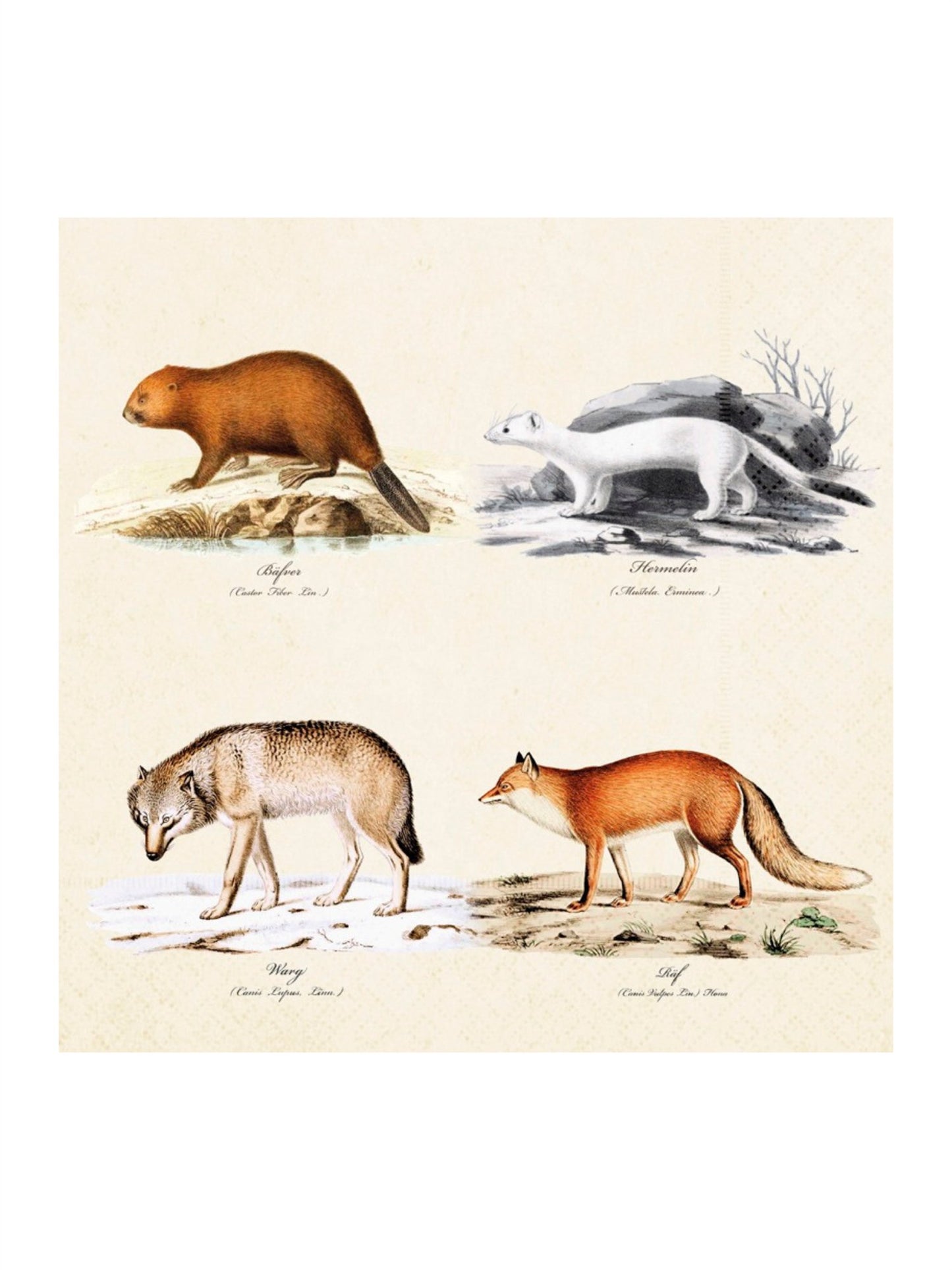 Servietter - Nordiske Dyr 33x33cm - at home