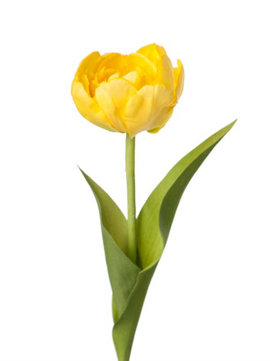 Blomst - Tulipan H36cm Gul
