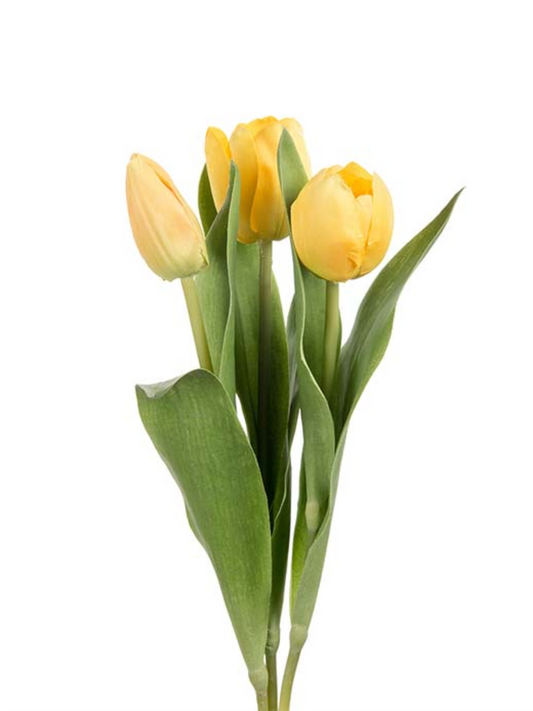 Blomst - Tulipan Mix H36cm Gul