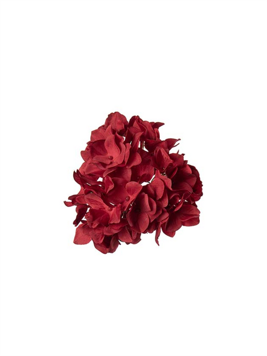 Plante - Hortensia Med Klype Rød 12cm