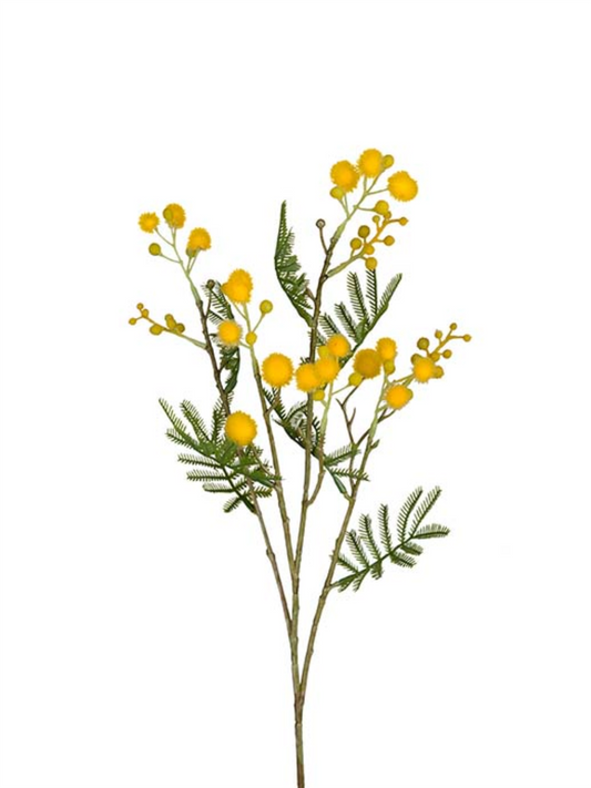Blomst - Mimosa H60cm Gul