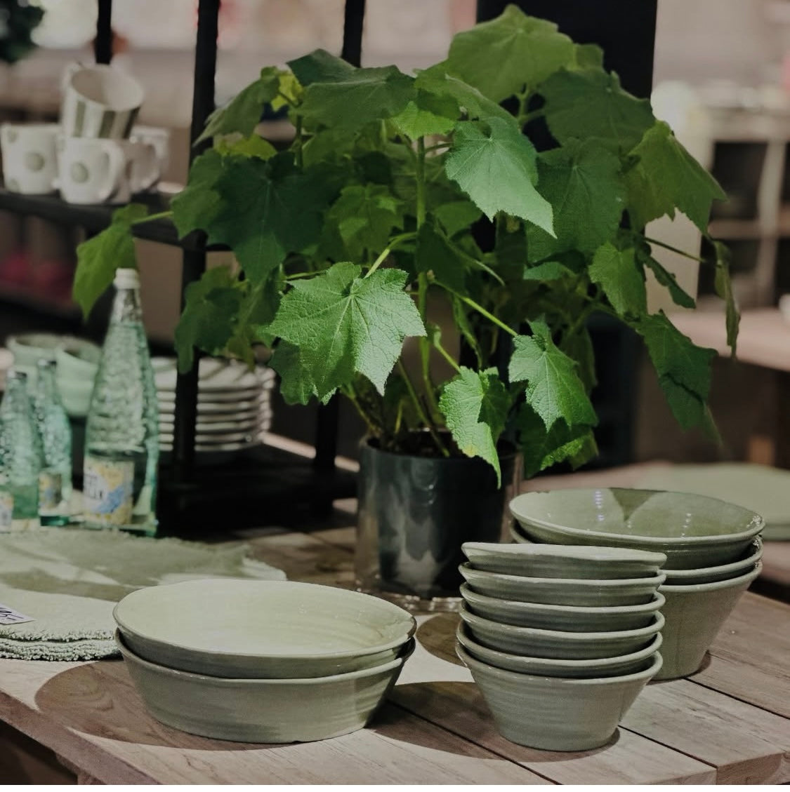 Fat 21cm Capri - Sage