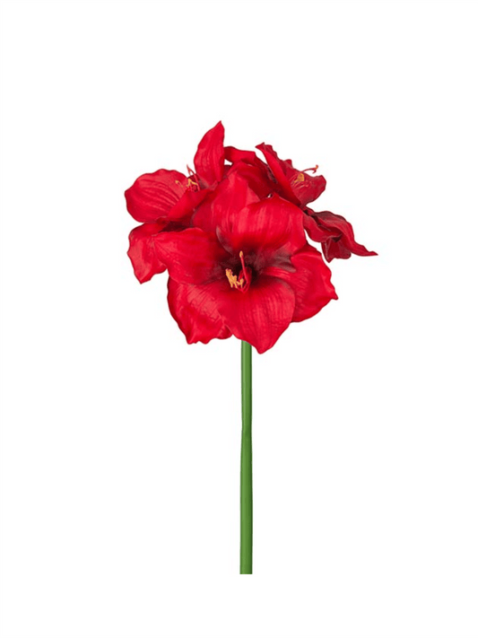 Blomst - Amaryllis Rød 65cm - at home