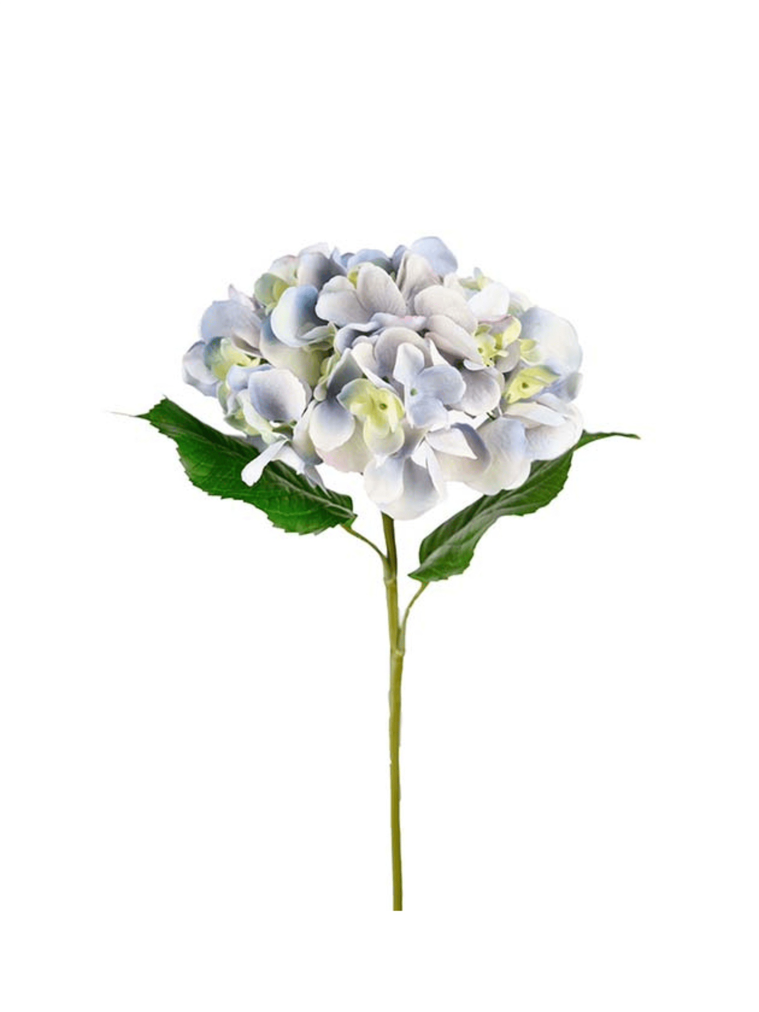 Blomst - Hortensia 55cm Blå - at home