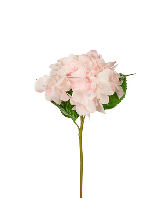 Blomst - Hortensia 55cm Lyserosa - at home