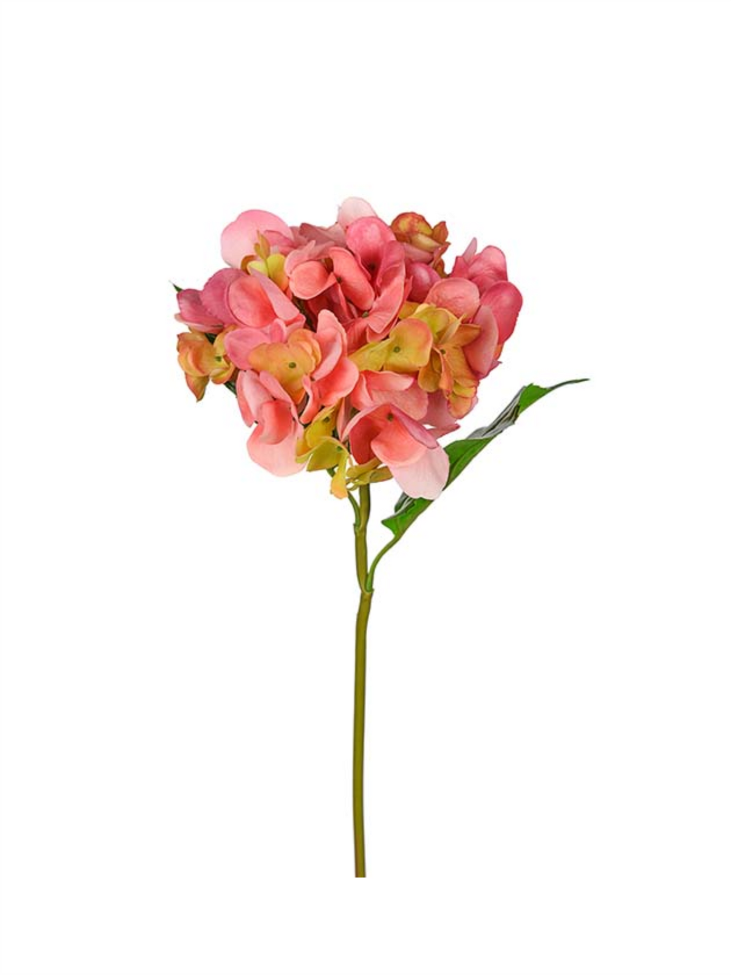 Blomst - Hortensia 55cm Rosa - at home
