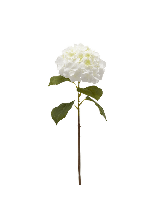 Blomst - Hortensia 70cm Hvit - at home