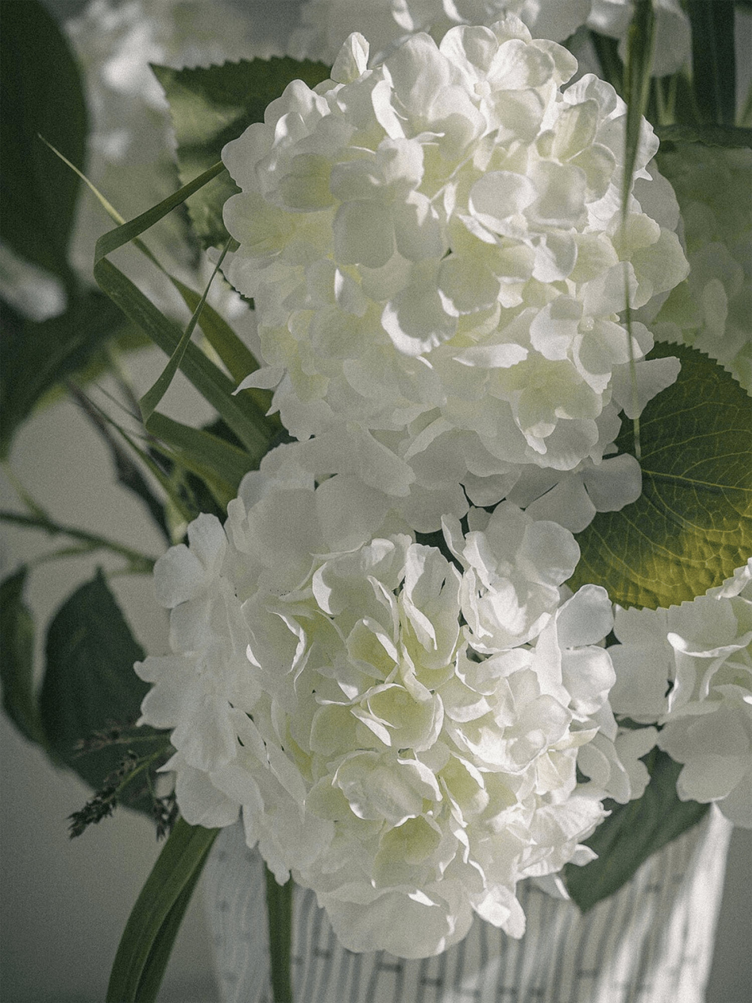 Blomst - Hortensia 70cm Hvit - at home