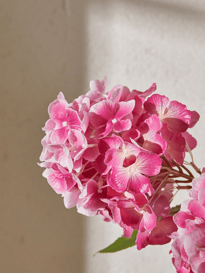 Blomst - Hortensia 70cm Mørkerosa - at home