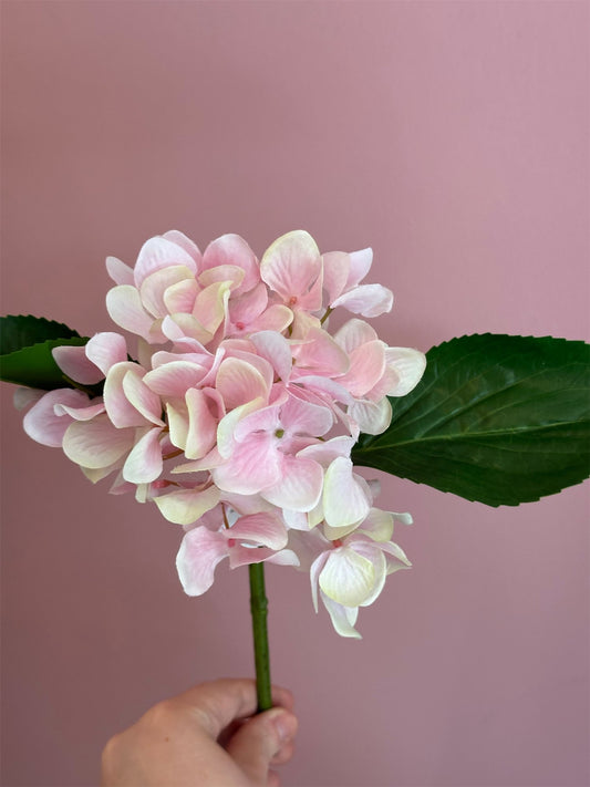 Blomst - Hortensia H25cm Rosa - at home