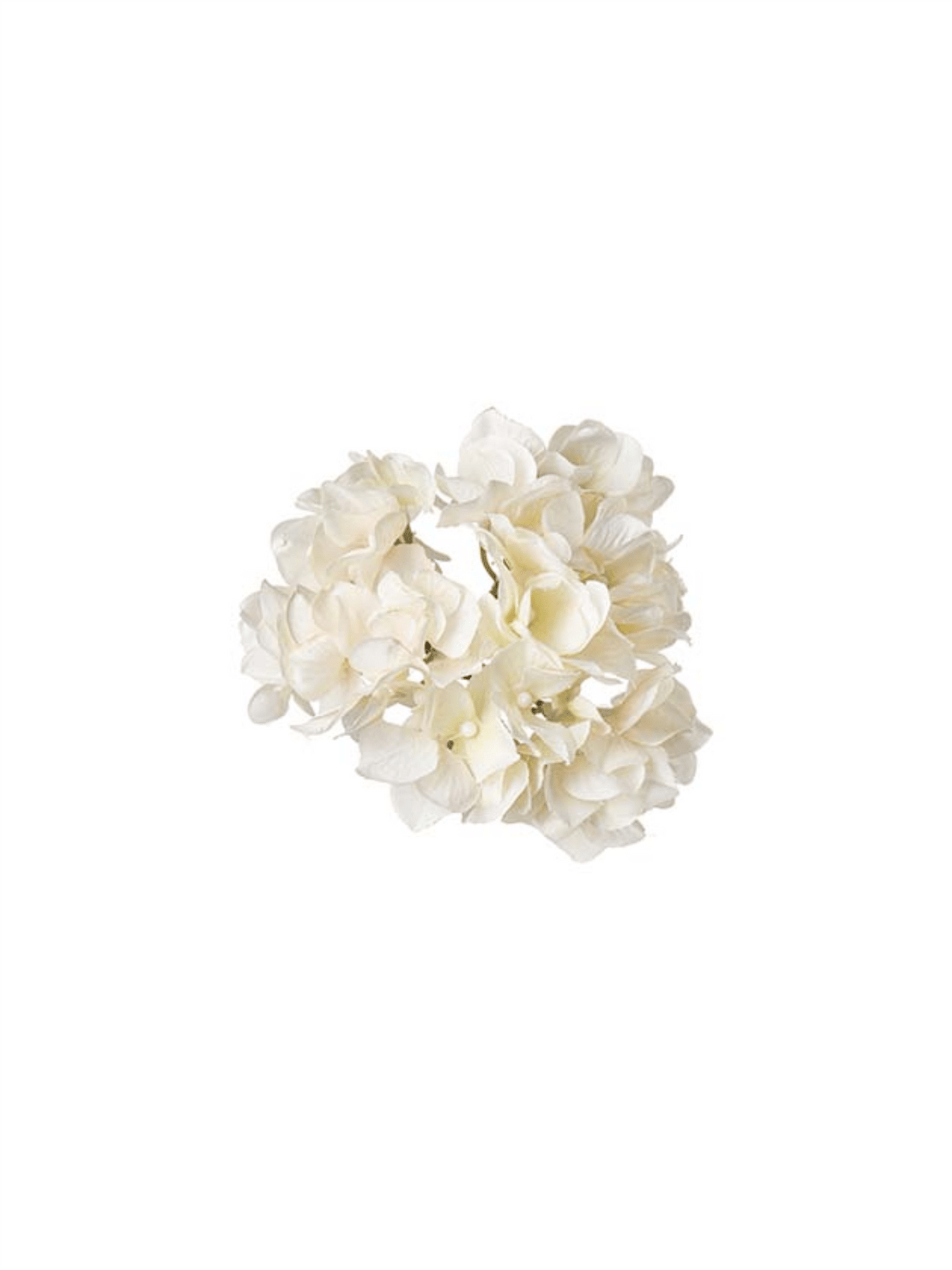 Blomst - Hortensia M/Klype Hvit - at home