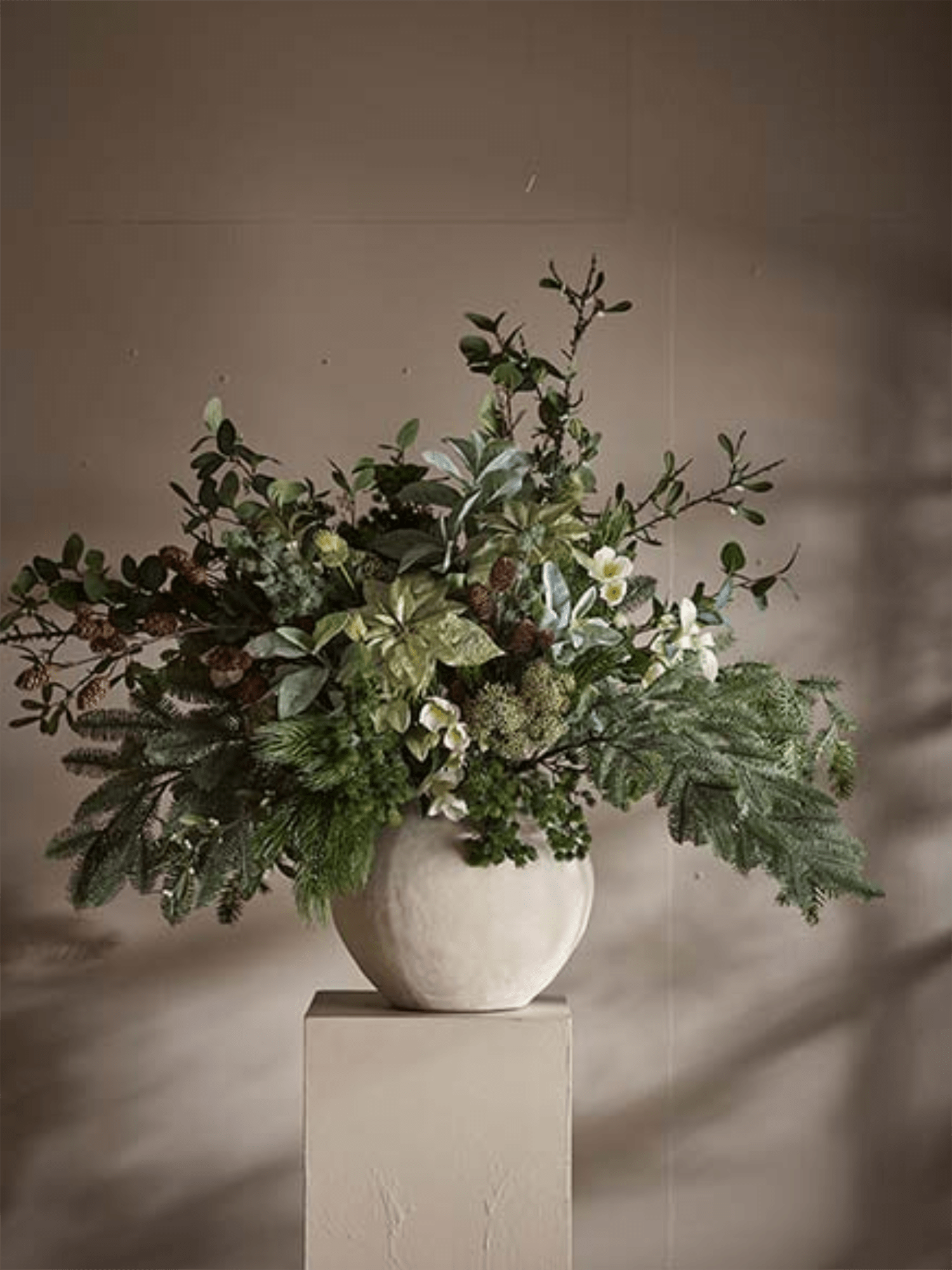 Blomst - Julerose H57cm Hvit - at home