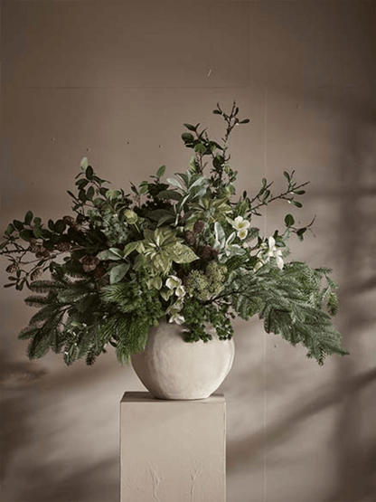 Blomst - Julerose H57cm Hvit - at home