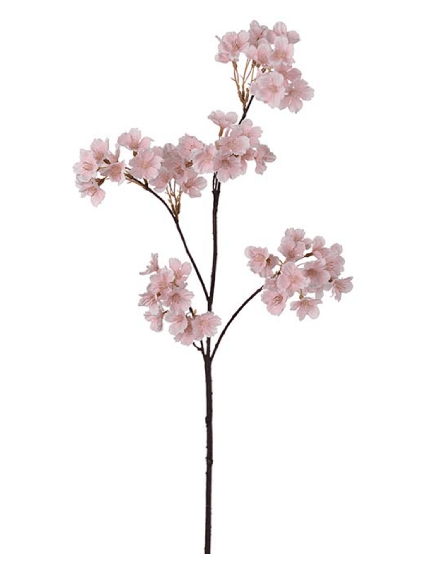 Blomst - Kirsebærblomst 90cm Rosa - at home