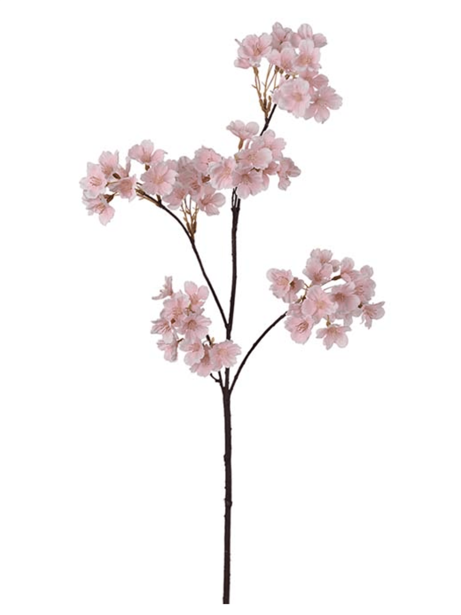Blomst - Kirsebærblomst 90cm Rosa - at home