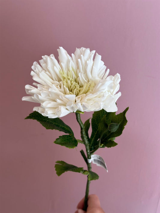 Blomst - Krysantemum H60cm Hvit - at home