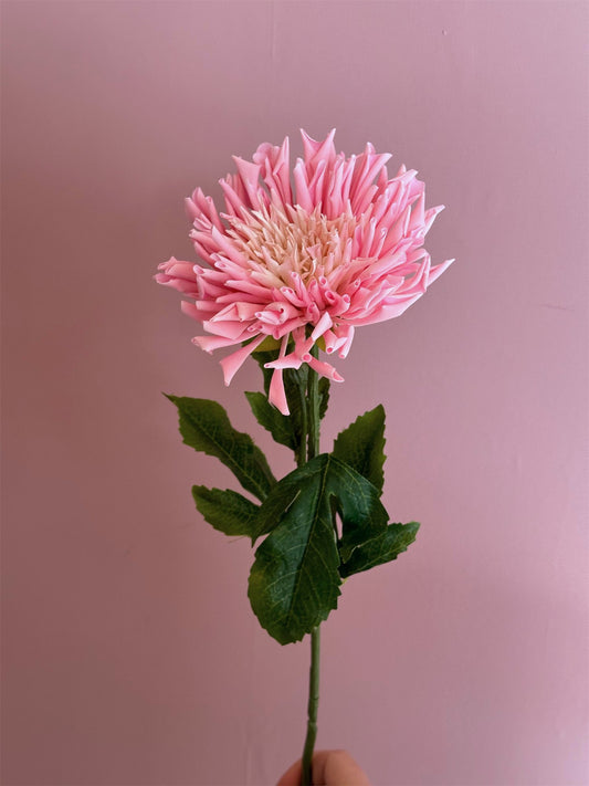 Blomst - Krysantemum H60cm Rosa - at home