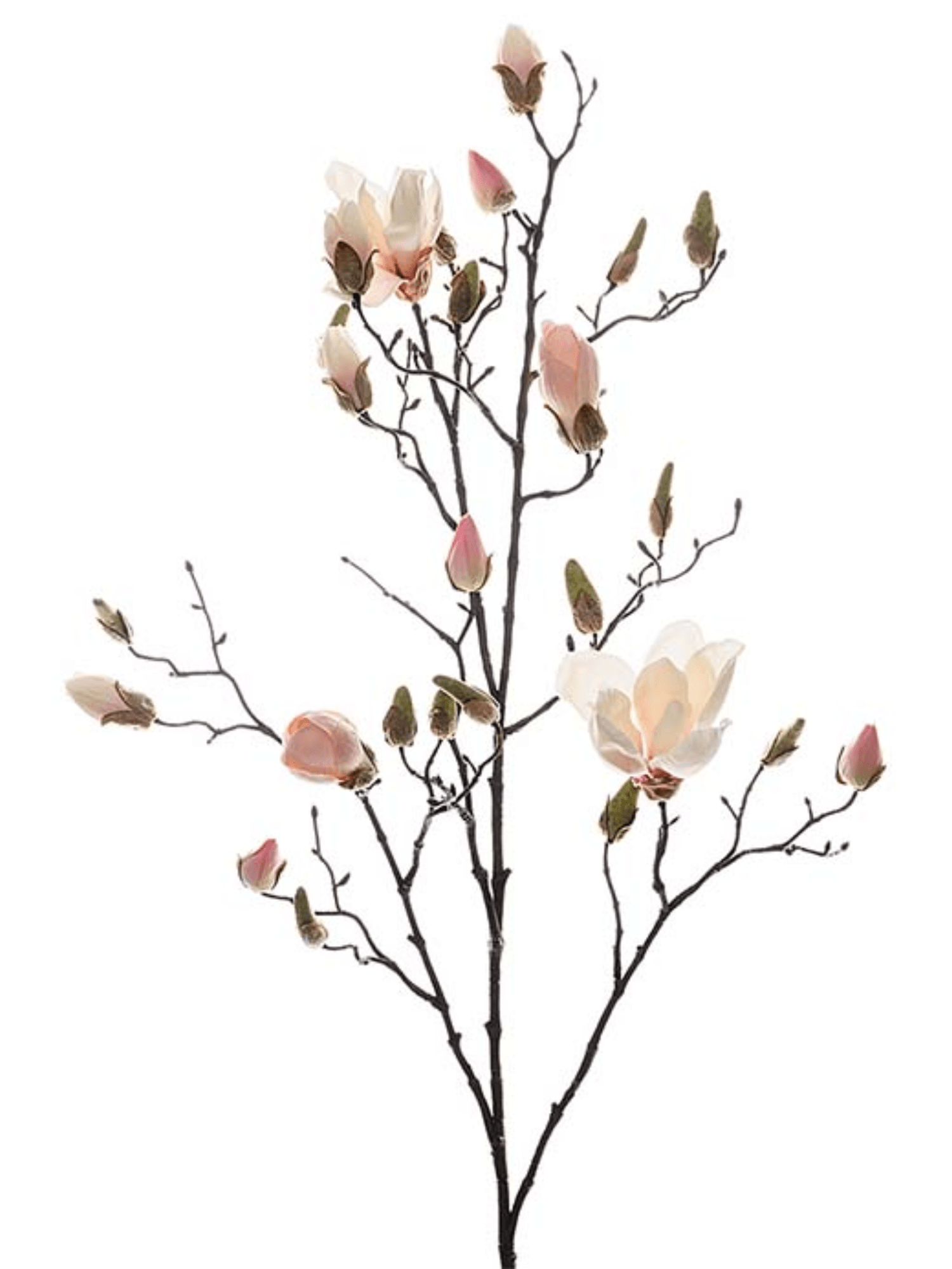 Blomst - Magnolia 110cm Rosa - at home