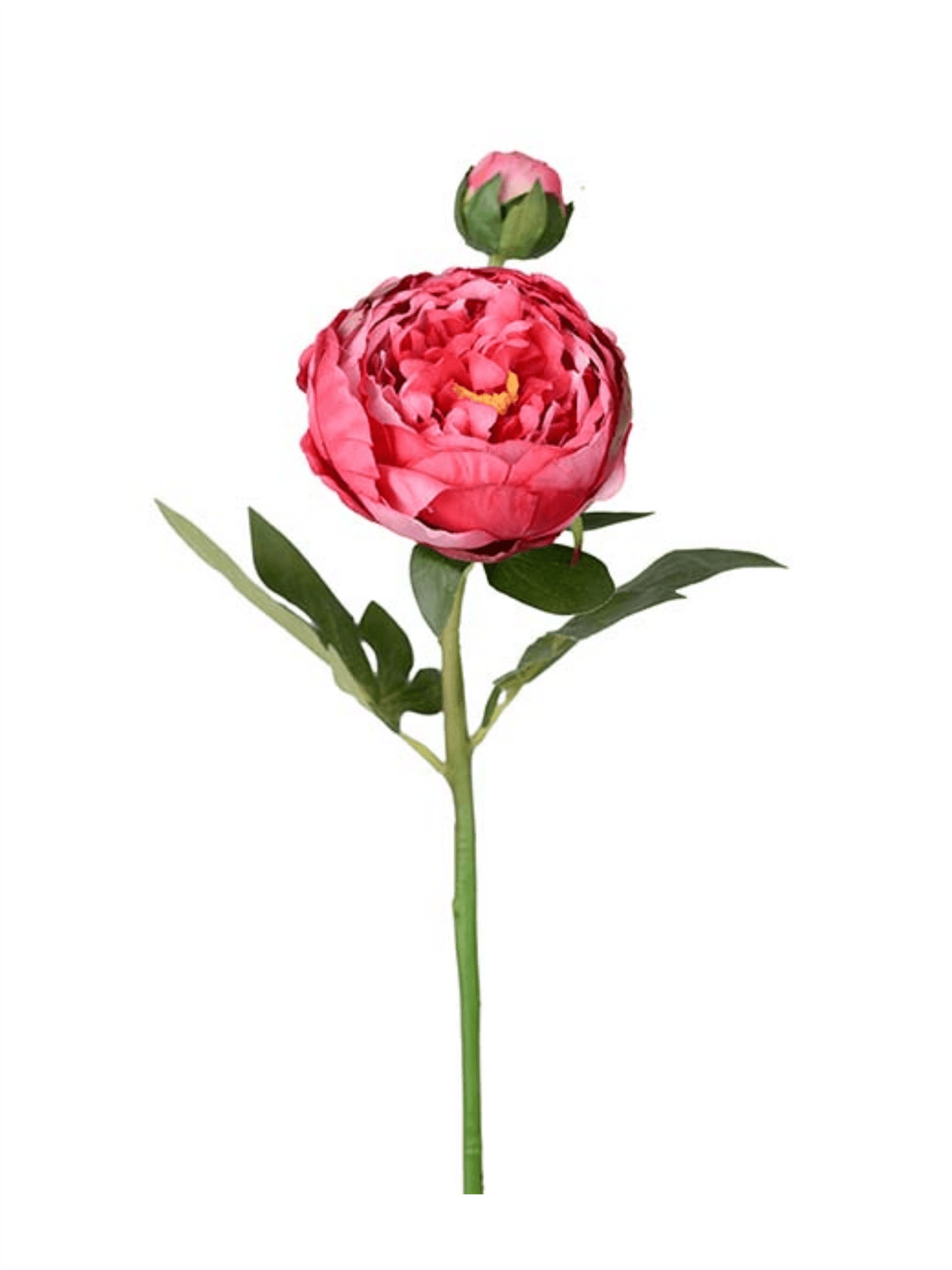 Blomst - Pion 58cm Rosa - at home