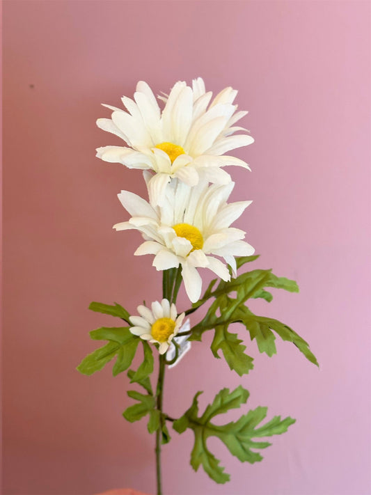 Blomst - Prestekrage H50cm Hvit - at home