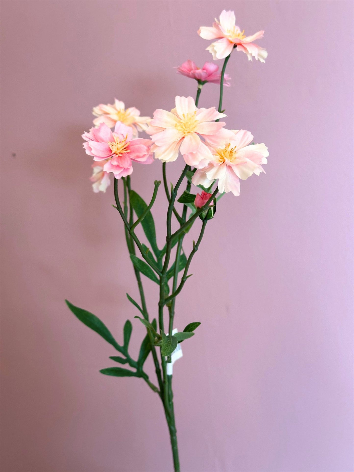 Blomst - Pyntekrog H55 Rosa - at home