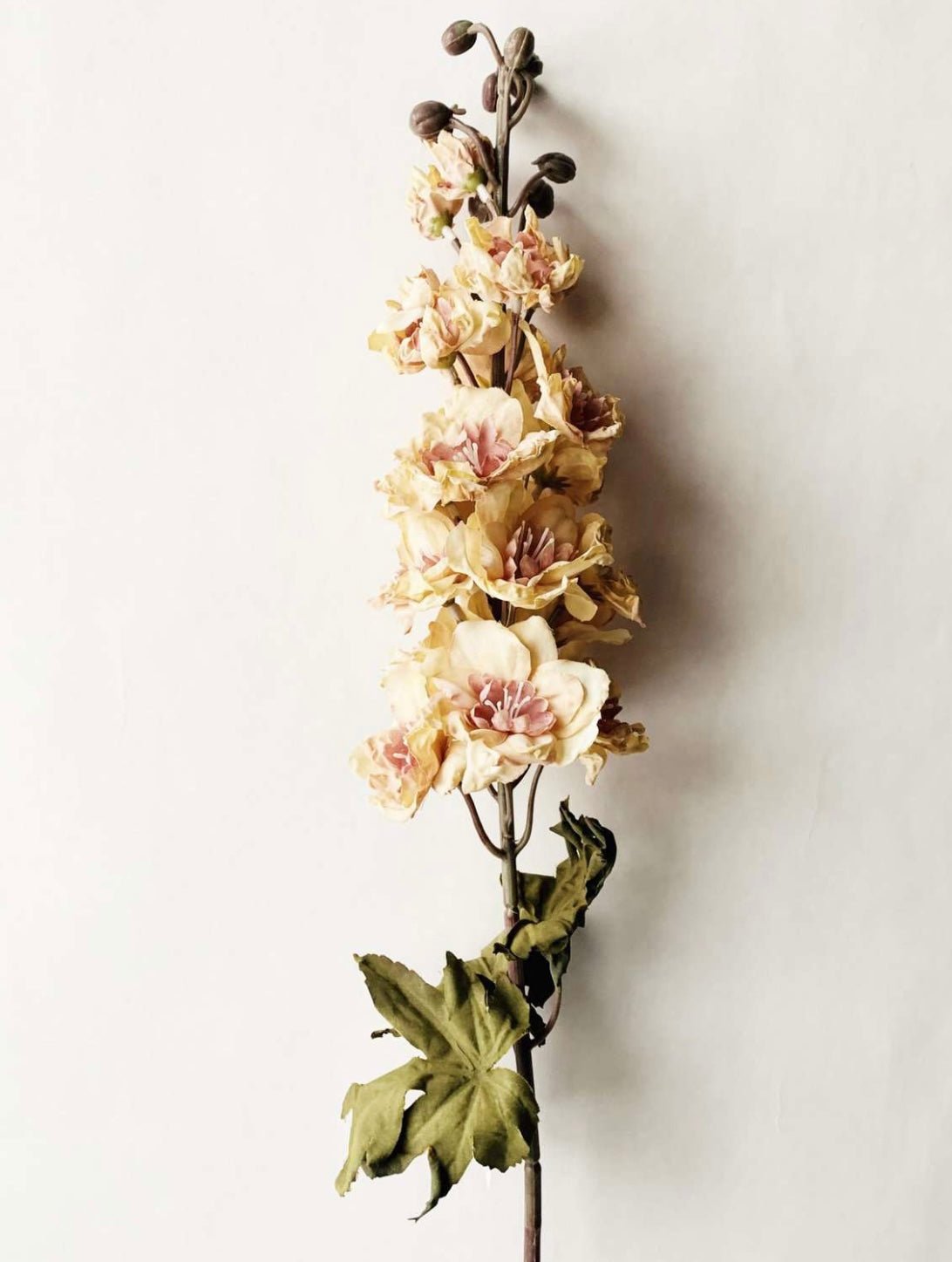 Blomst - Ridderspore Gul/Rosa 80cm - at home
