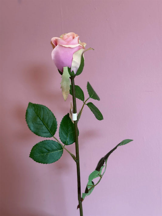 Blomst - Rose H50cm Lilla - at home