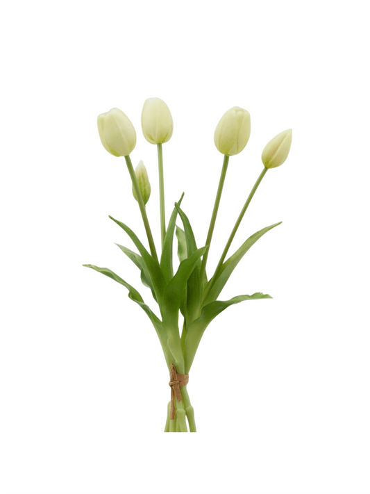 Blomst - Tulipan Bukett 40cm Champagne - at home
