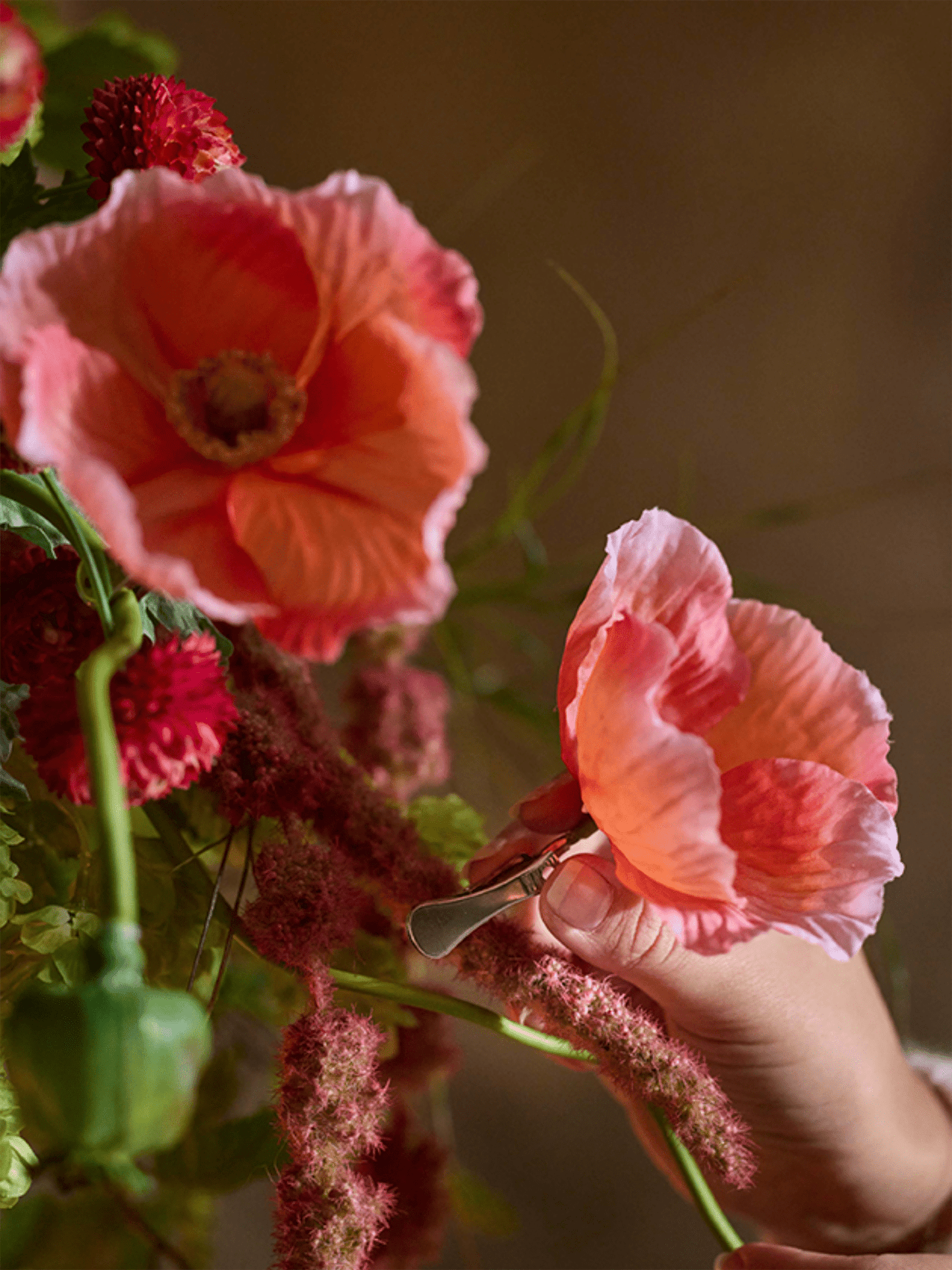 Blomst - Valmue M/Klype Korall - at home