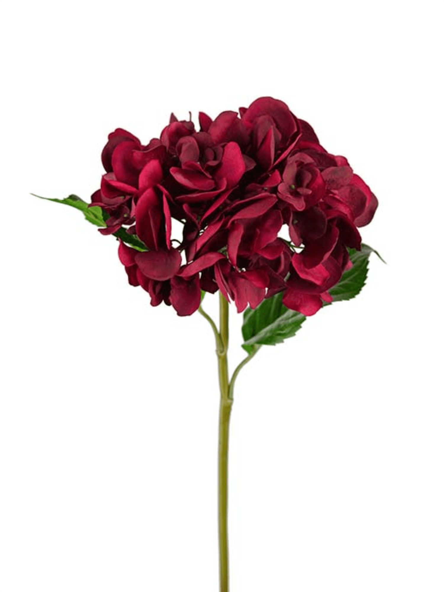 Hortensia 55cm - Rød - at home