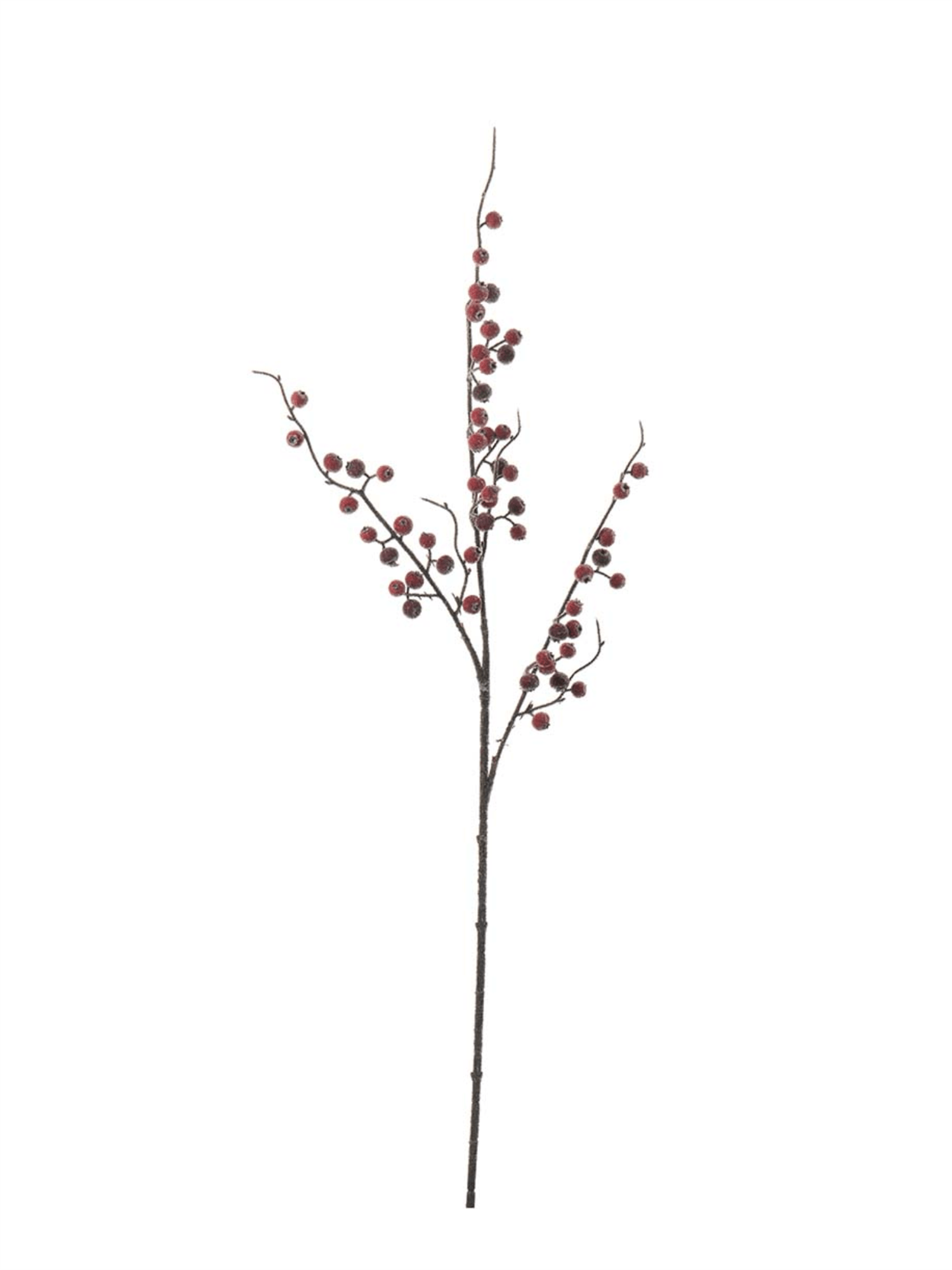 Kvist - Bær Med Is 75cm - at home