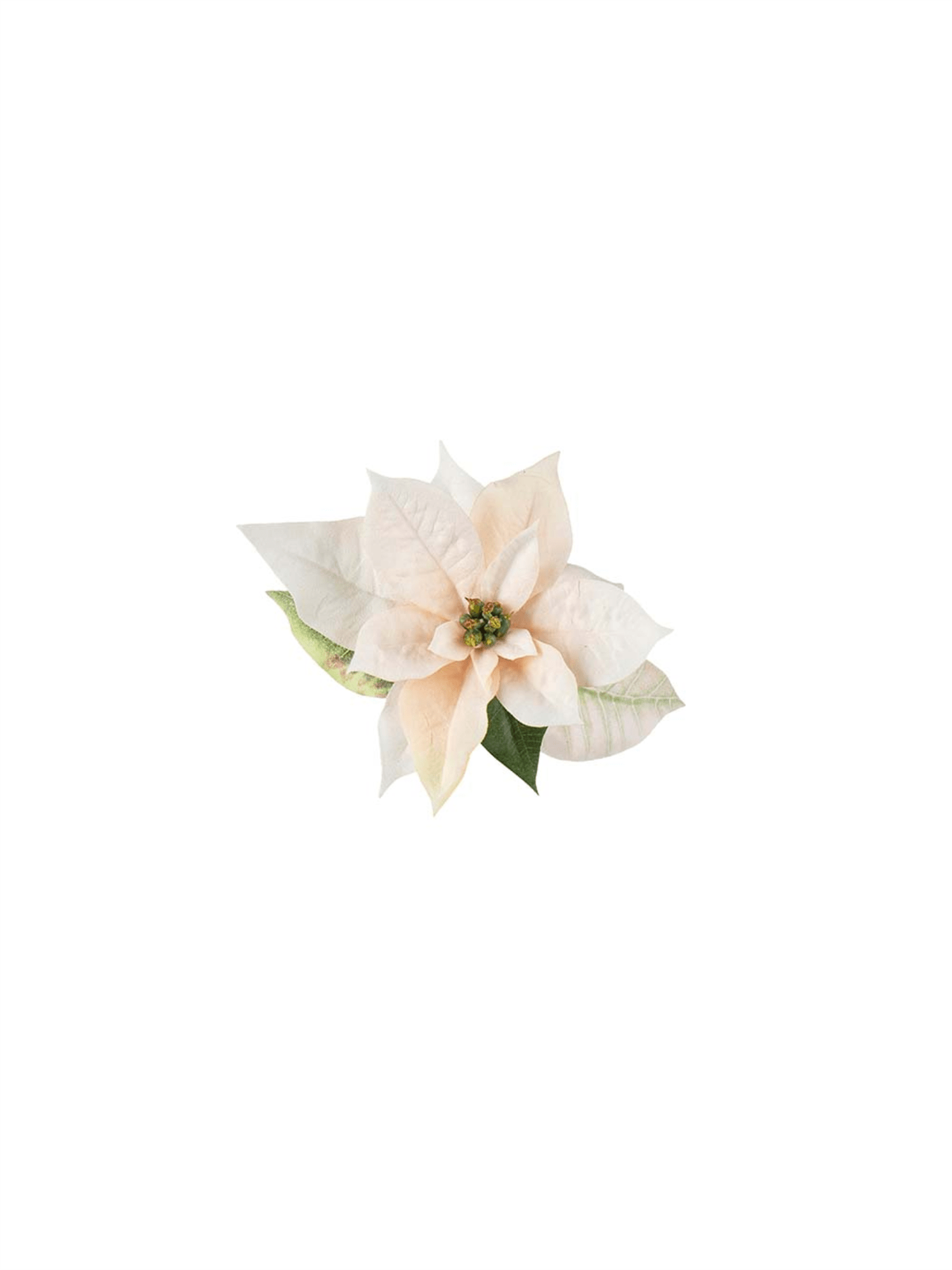 Plante - Julestjerne Med Klype Hvit 6cm - at home