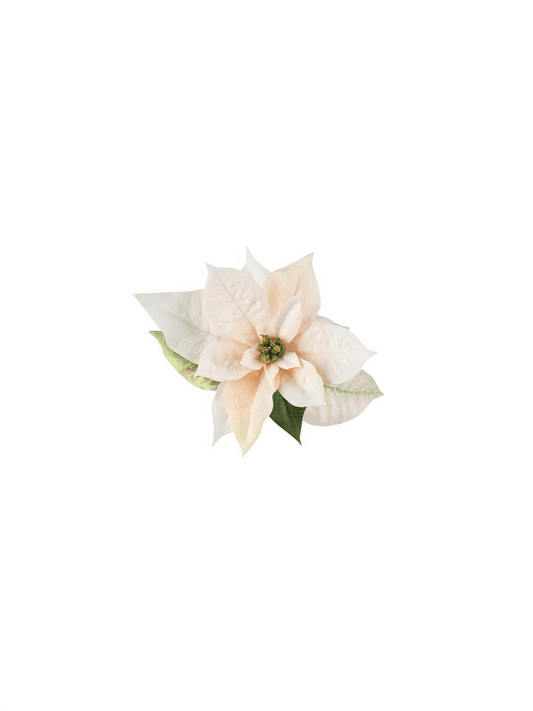 Plante - Julestjerne Med Klype Hvit 6cm - at home
