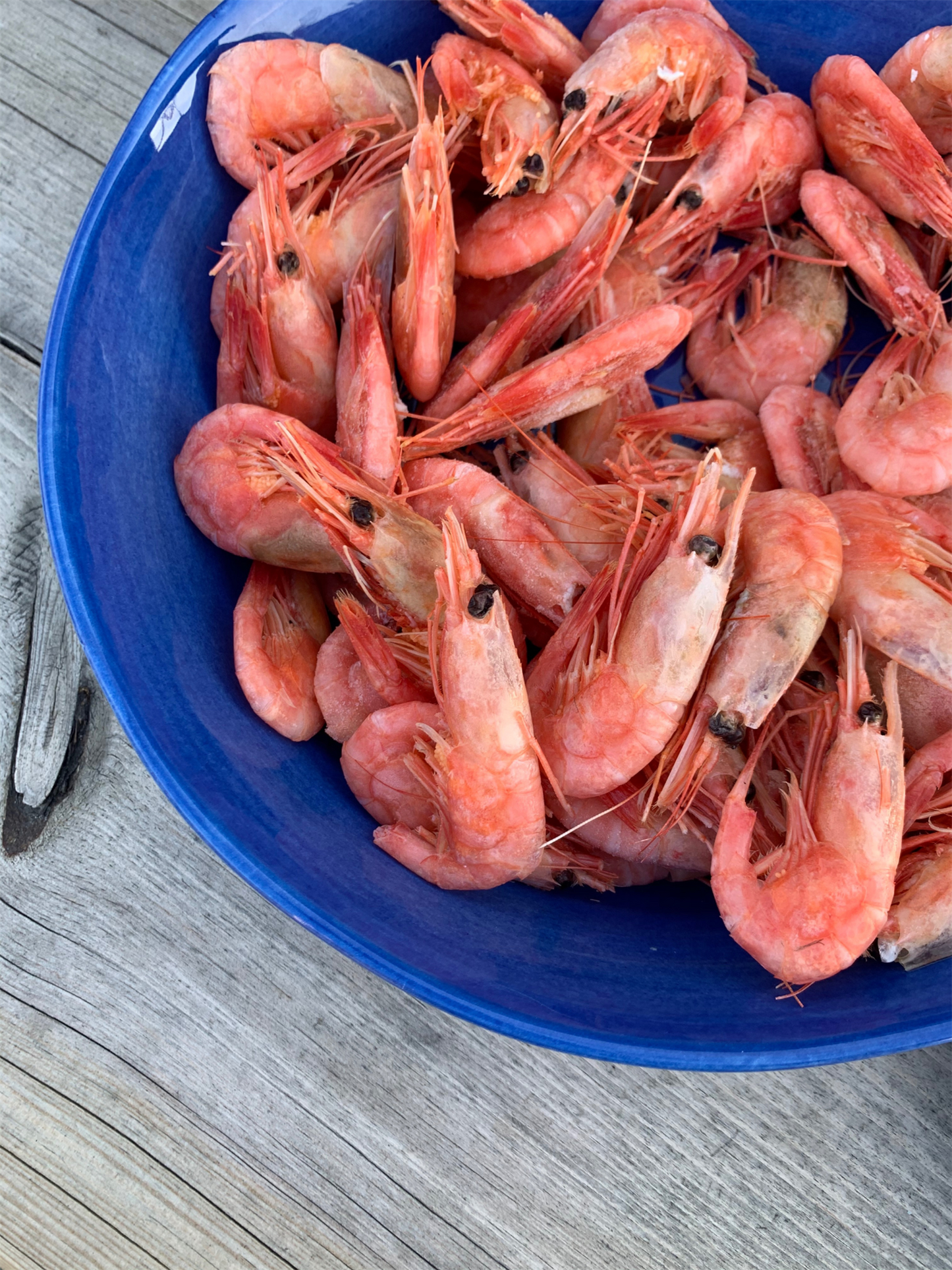 Skål 25cm Capri - Sea Blue - at home