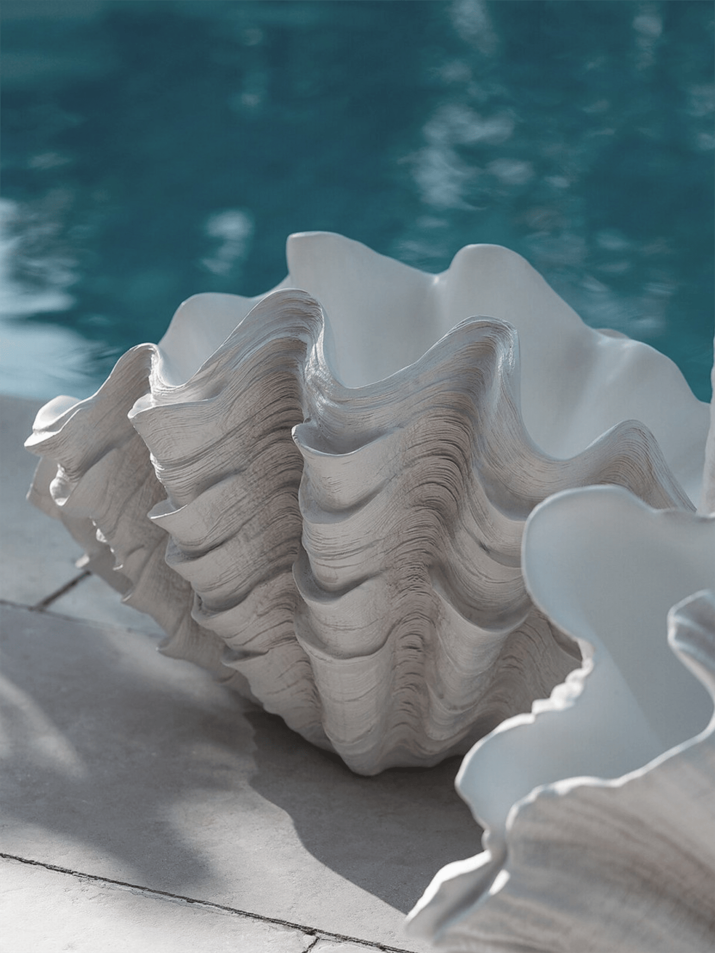 Vase - Skjell 28,5x48cm - at home