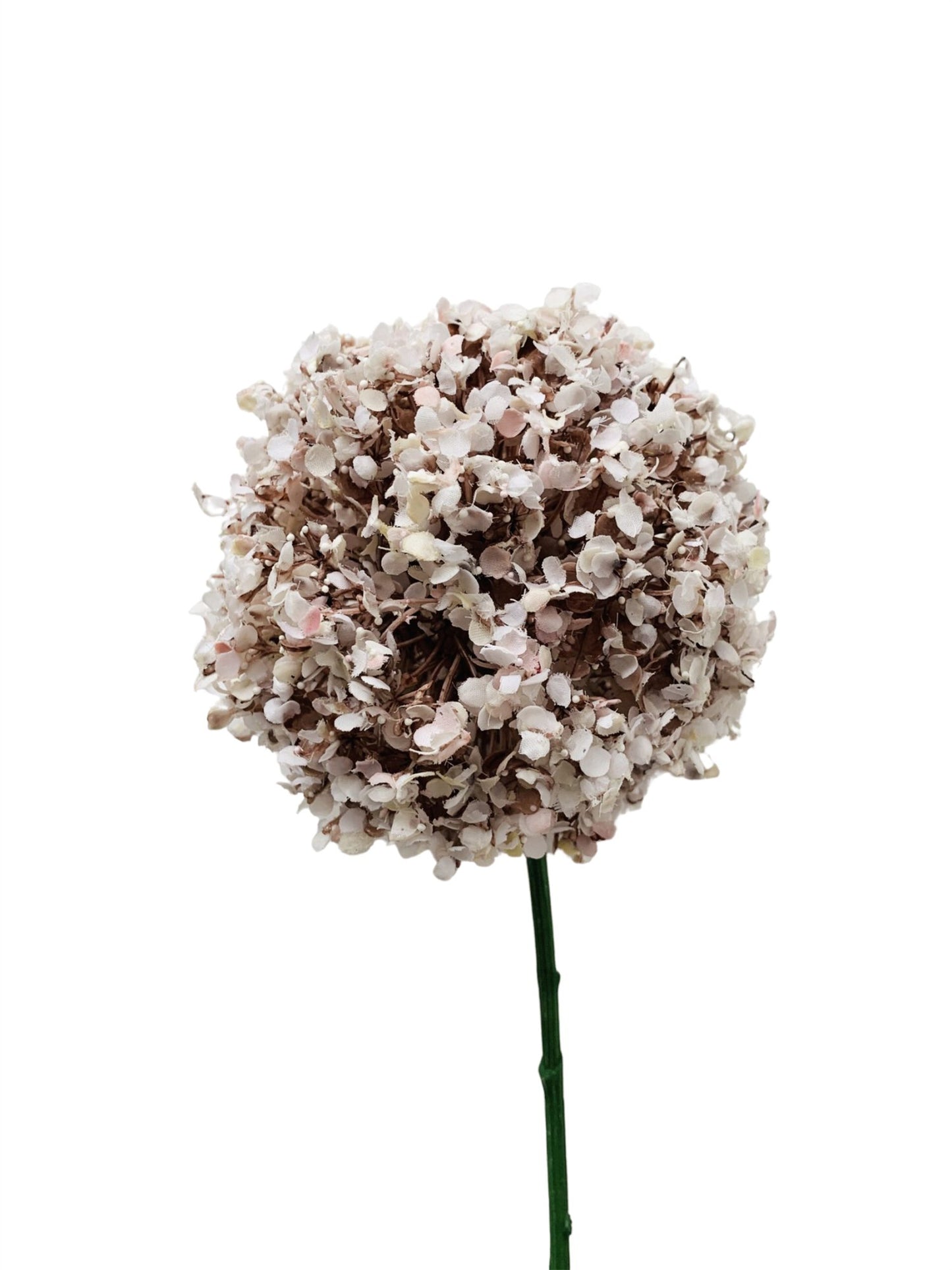 Allium 74 cm - Rosa - at home